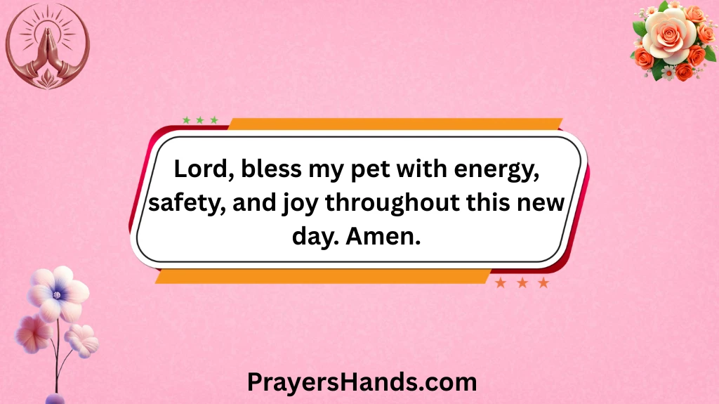 daily-prayers-for-pets