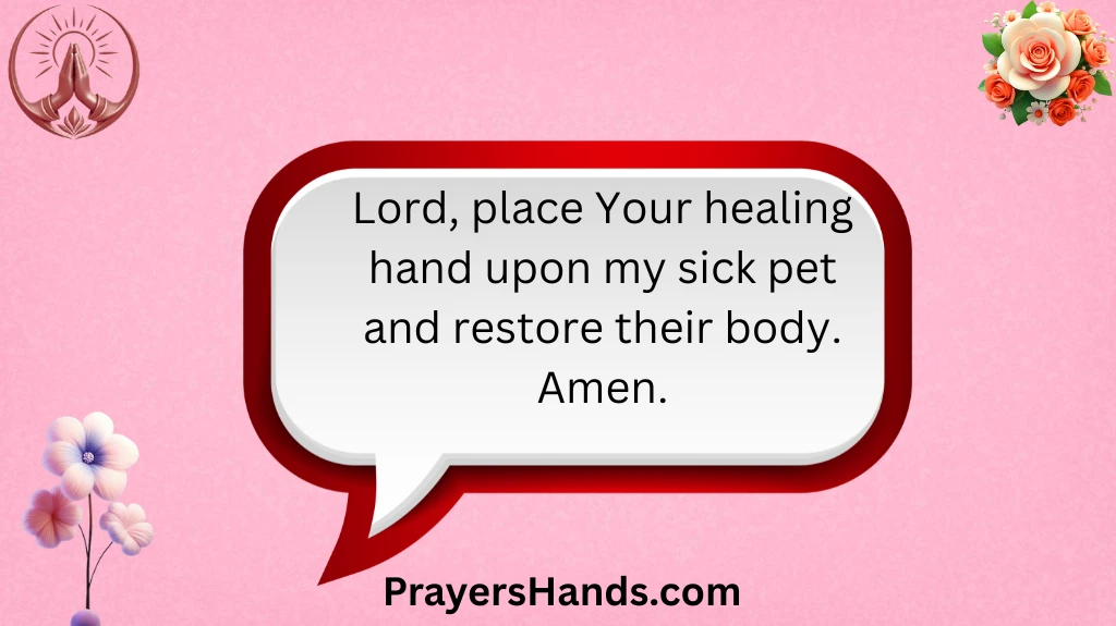 healing-prayers-for-sick-pets