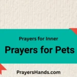 prayers-for-pets