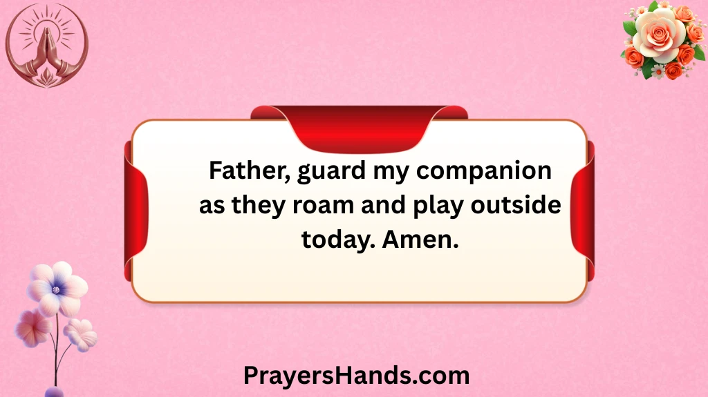 protection-prayers-for-pets 